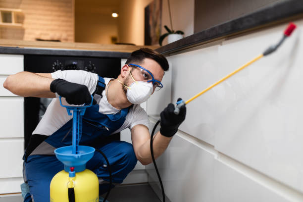 Best Insect Control  in Golden Hills, CA
