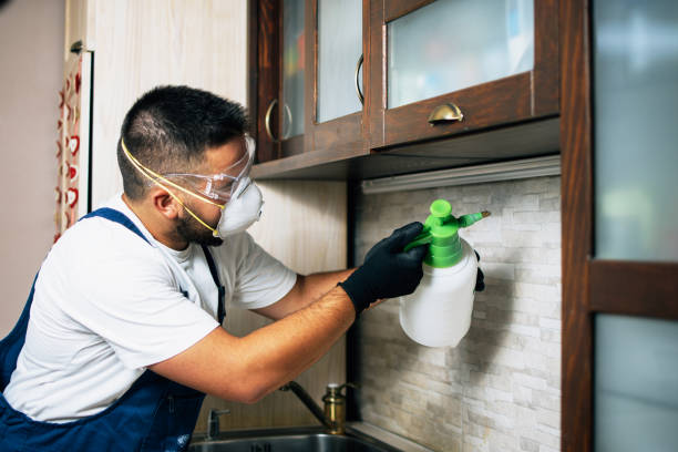 Best Pest Control Near Me  in Golden Hills, CA