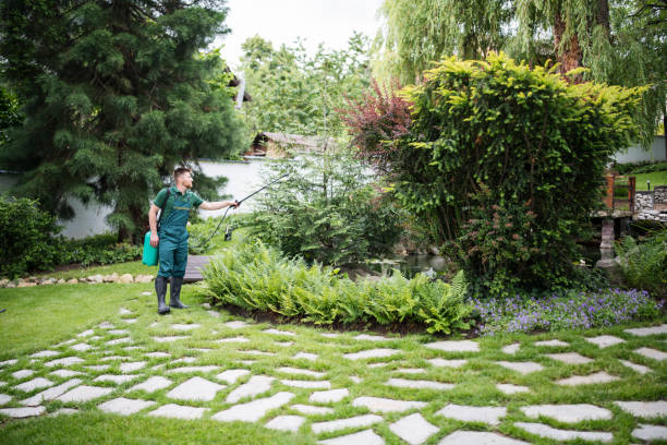 Professional Pest Control in Golden Hills, CA
