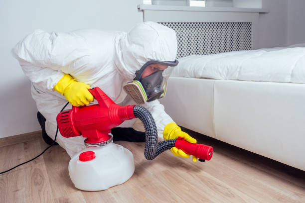 Best Affordable Pest Control Services  in Golden Hills, CA