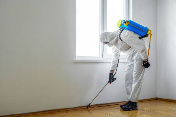Best Local Pest Control Services  in Golden Hills, CA