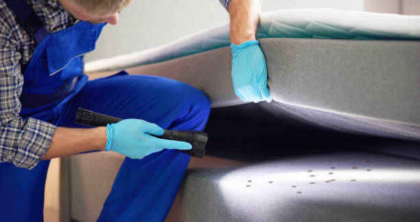 Best Wasp Removal Services  in Golden Hills, CA