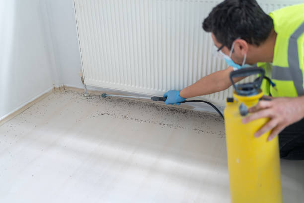 Best Pest Control Near Me in Golden Hills, CA