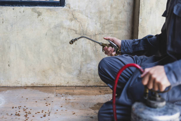 Best Mosquito Control Services  in Golden Hills, CA