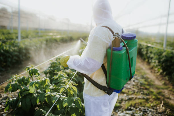 Pest Prevention Services in Golden Hills, CA